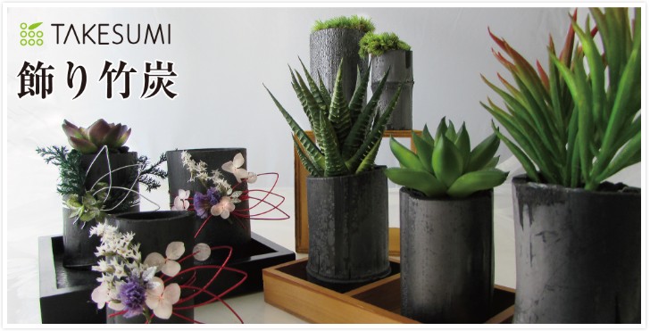 �������ȏ��L�C���e���A�y�|�Y/TAKESUMI�z���T�C�g